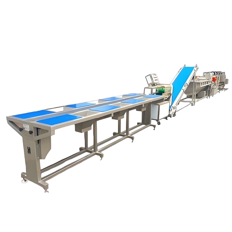Salad Vegetable Production Line