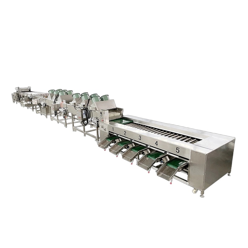 Potato Grading Line